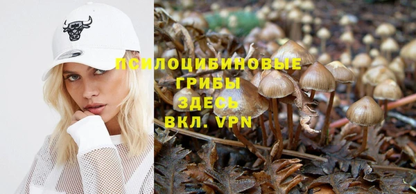 мяу мяу кристалл Арсеньев