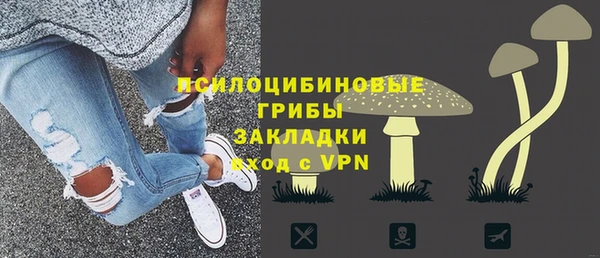 гашик Балахна